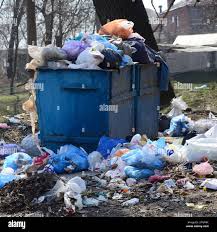 Best Retail Junk Removal  in Rainsville, AL